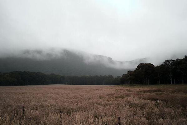 Dunphys Campground is located in the Megalong Valley.